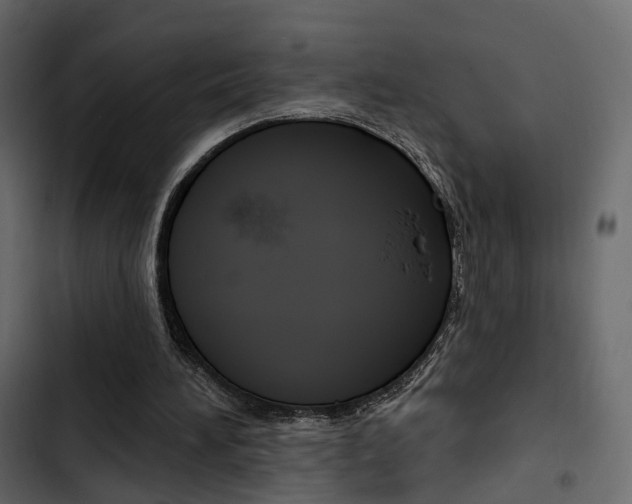 X0000103910196200809191127