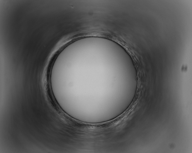 X0000103910198200809191127