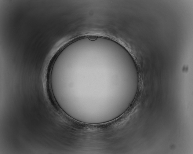 X0000103910199200809191127