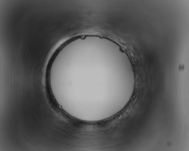 X0000103910200200809191127
