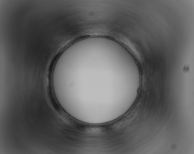 X0000103910202200809191127