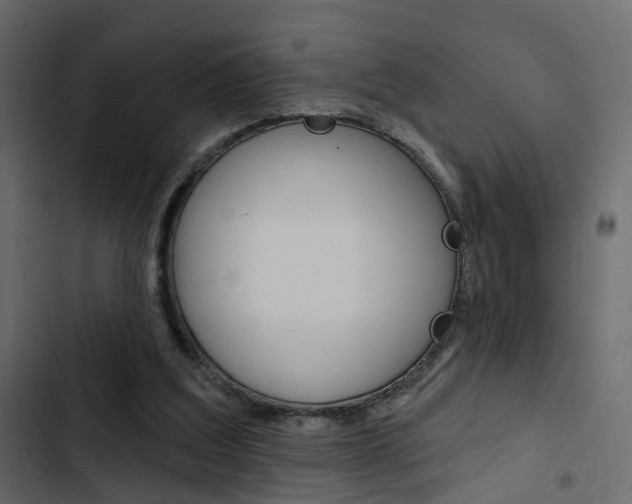 X0000103910203200809191127