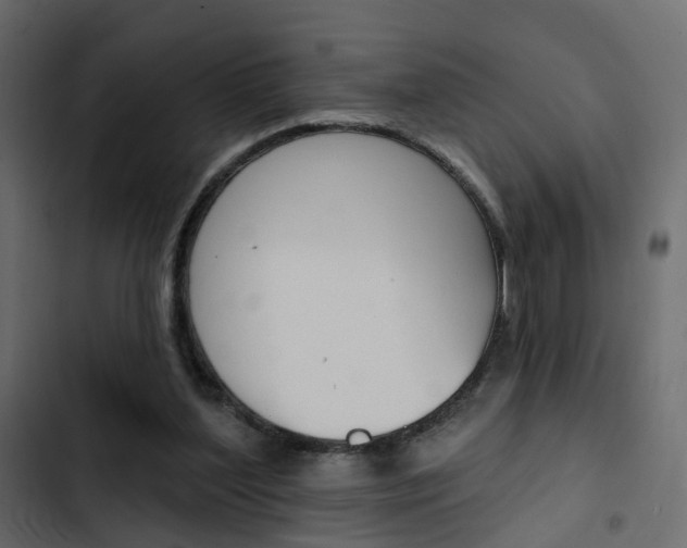 X0000103910204200809191127