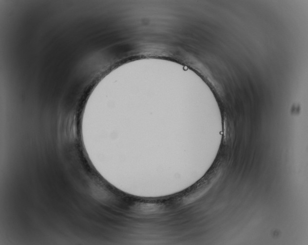 X0000103910205200809191127