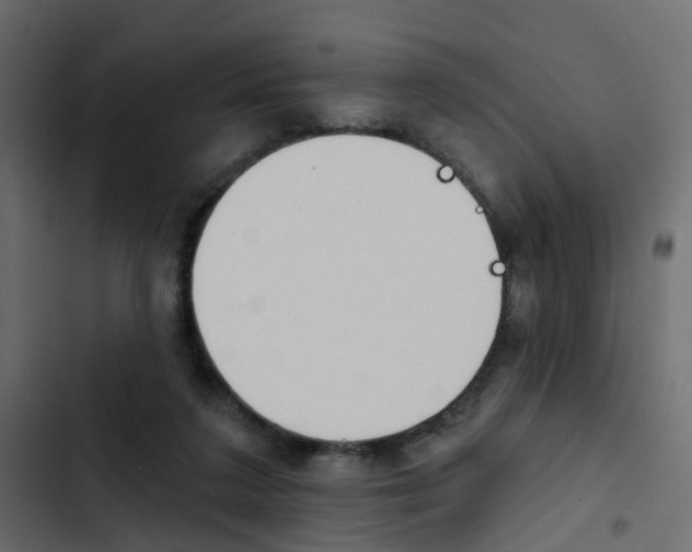 X0000103910211200809191127