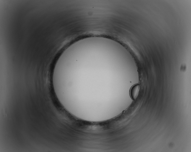 X0000103910212200809191127