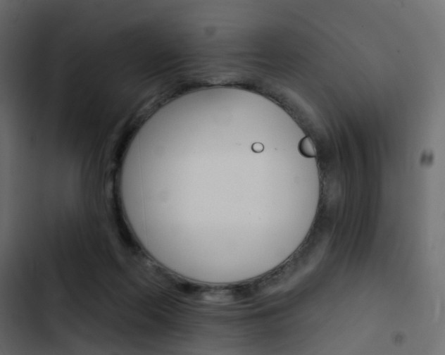 X0000103910214200809191127