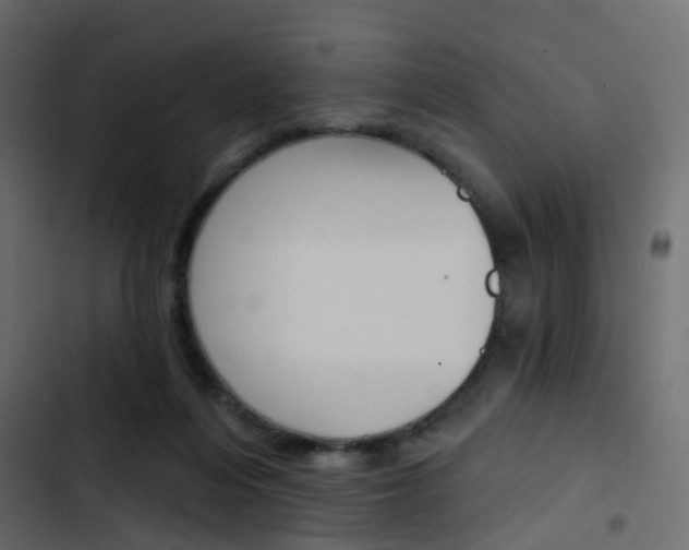 X0000103910216200809191127