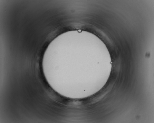 X0000103910217200809191127