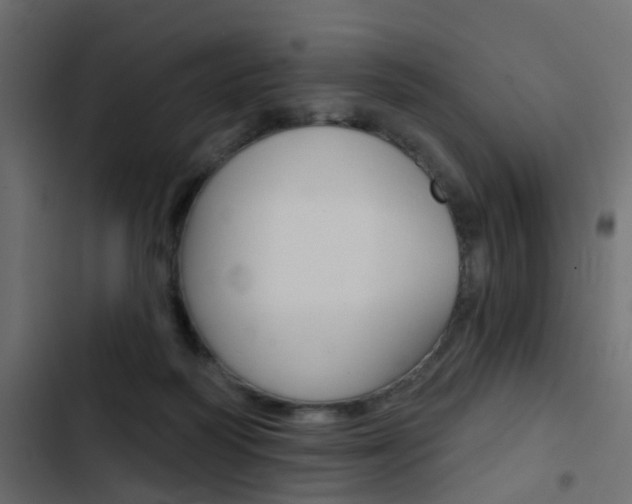 X0000103910218200809191127