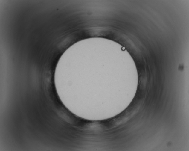 X0000103910219200809191127