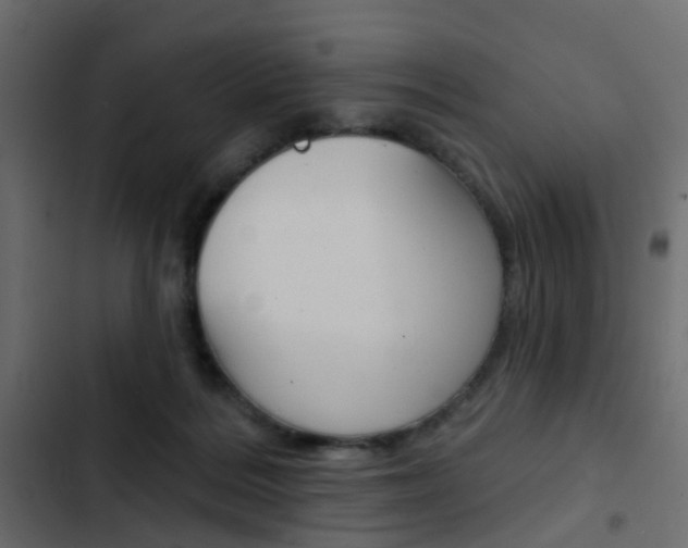 X0000103910220200809191127