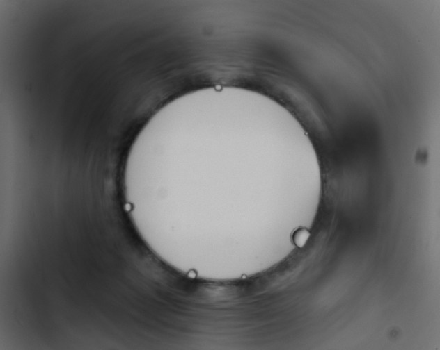 X0000103910221200809191127