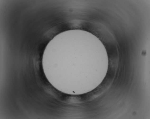 X0000103910223200809191127