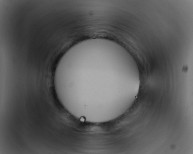 X0000103910224200809191127