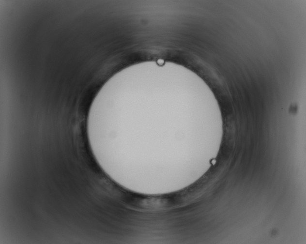 X0000103910225200809191127
