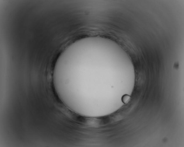 X0000103910226200809191127