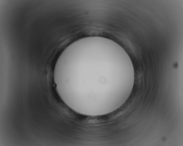 X0000103910228200809191127