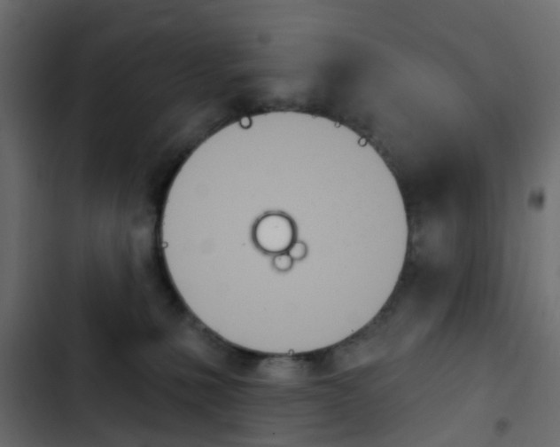 X0000103910231200809191127