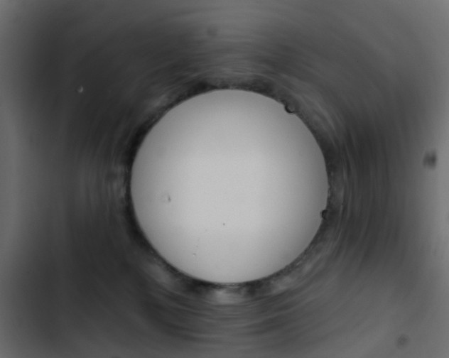X0000103910232200809191127