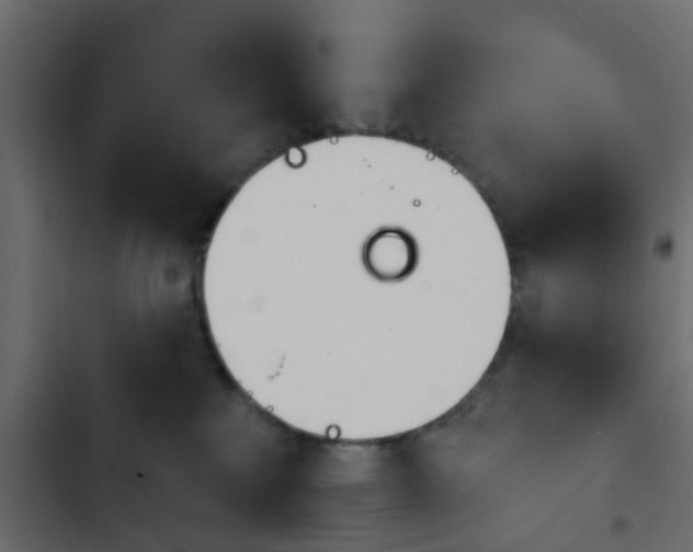 X0000103910233200809191127