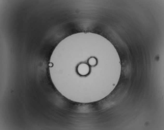 X0000103910235200809191127