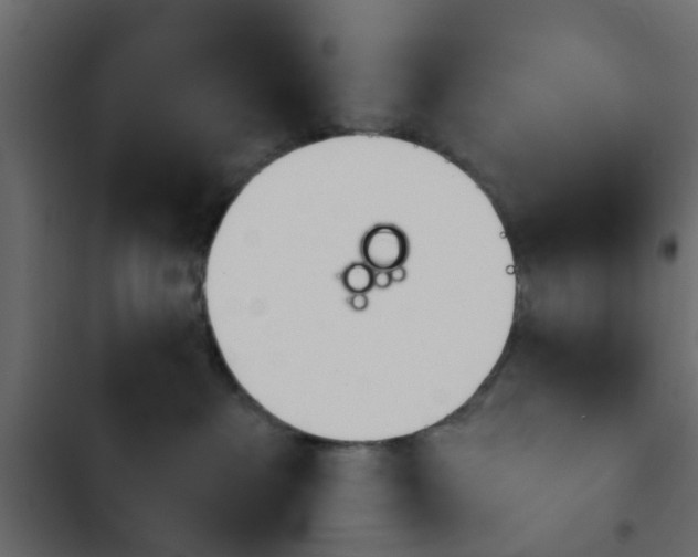 X0000103910237200809191126