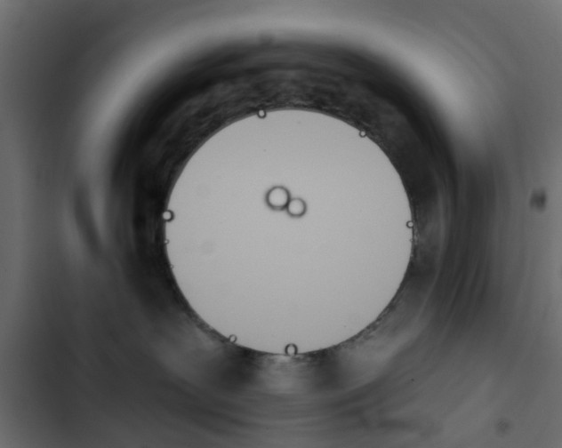 X0000103910239200809191126