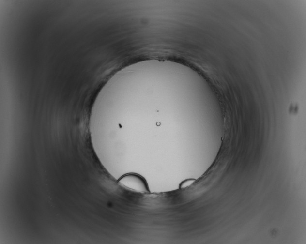 X0000103910240200809191126