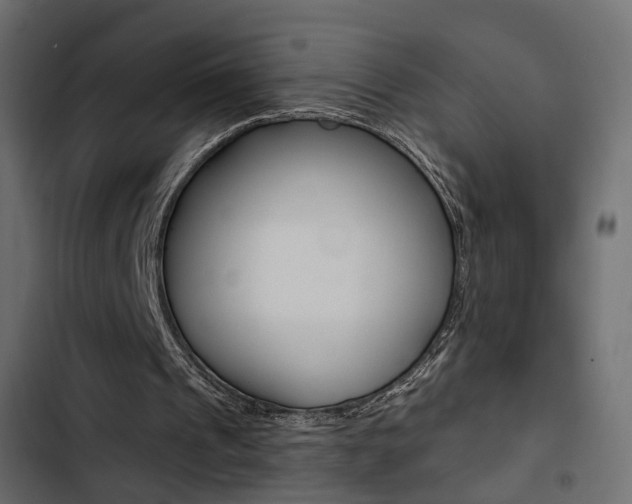 X0000103910241200809191126