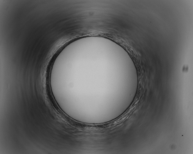 X0000103910242200809191126