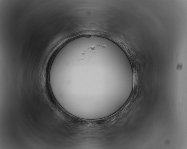 X0000103910243200809191126
