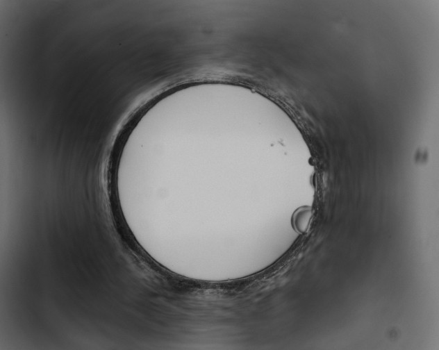X0000103910244200809191126