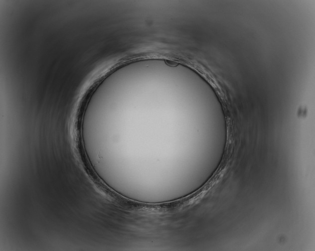 X0000103910245200809191126