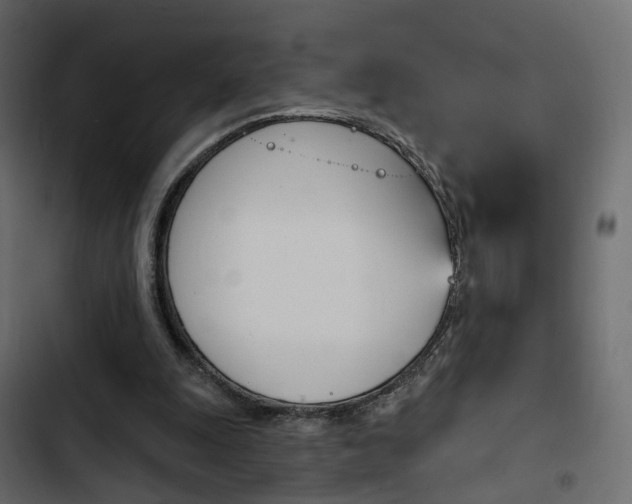 X0000103910247200809191126