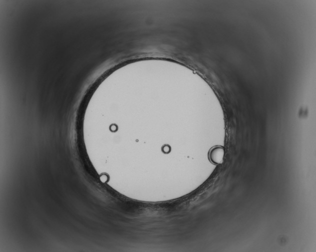 X0000103910248200809191126