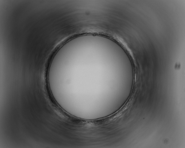 X0000103910249200809191126