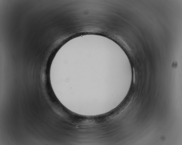X0000103910252200809191126