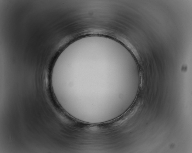 X0000103910253200809191126