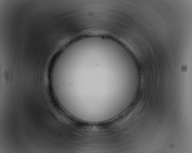 X0000103910254200809191126