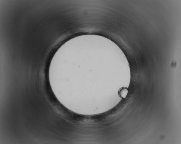 X0000103910256200809191126