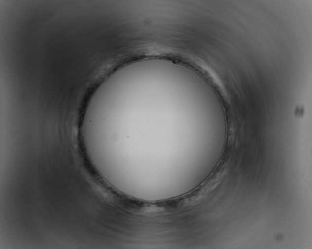 X0000103910257200809191126
