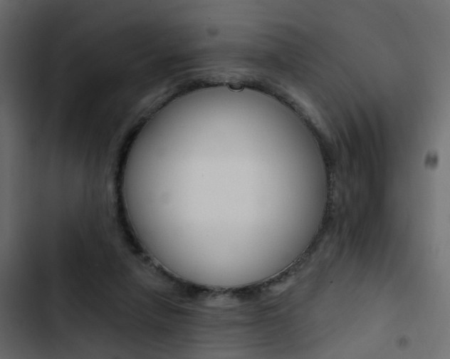 X0000103910258200809191126