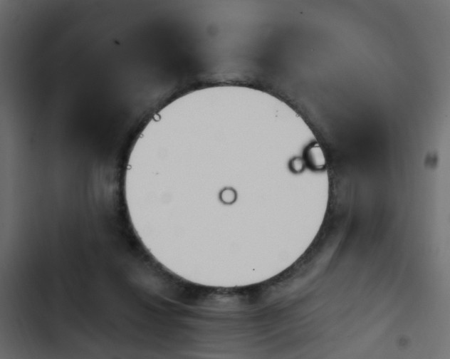 X0000103910260200809191126