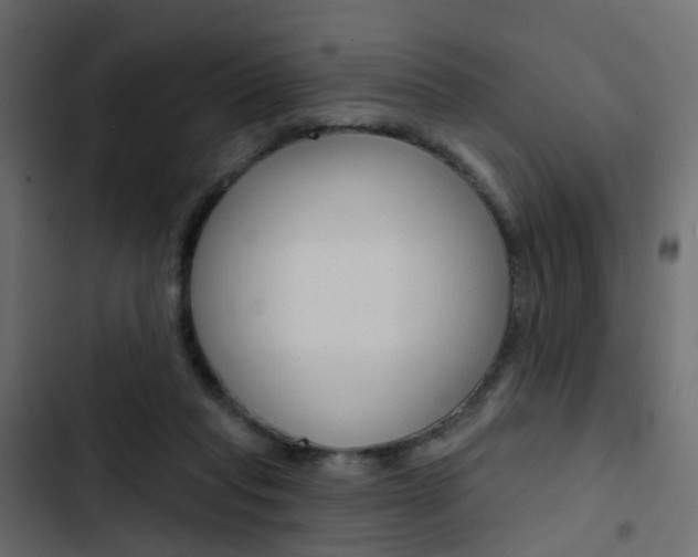 X0000103910261200809191126
