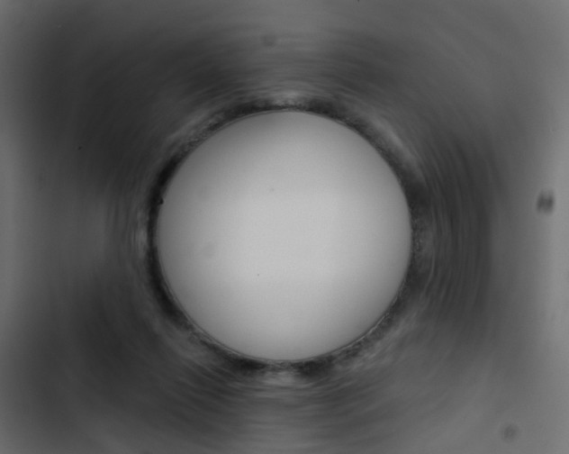 X0000103910262200809191126