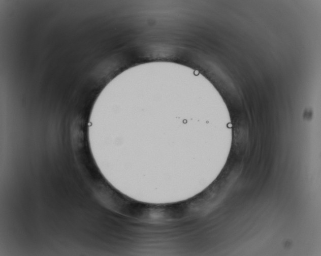 X0000103910264200809191126
