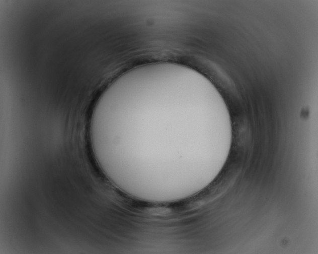 X0000103910266200809191126