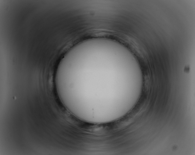 X0000103910267200809191126
