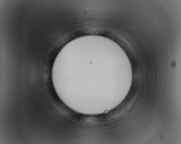 X0000103910268200809191126